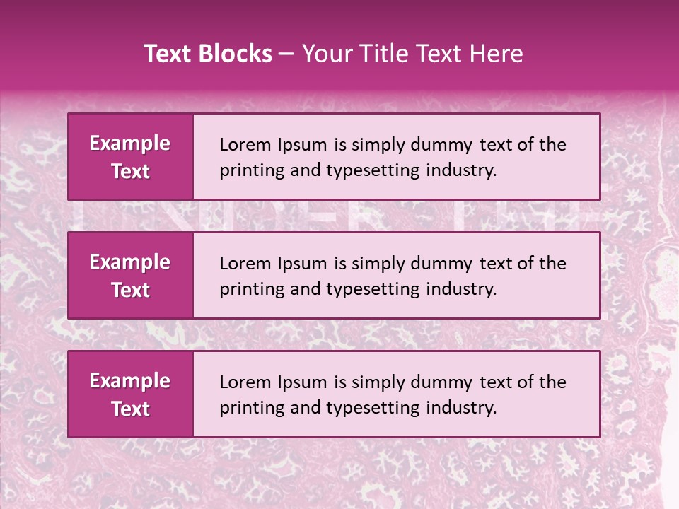 Care Aging Grandmother PowerPoint Template