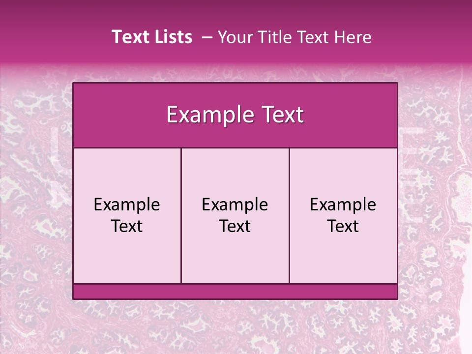 Care Aging Grandmother PowerPoint Template