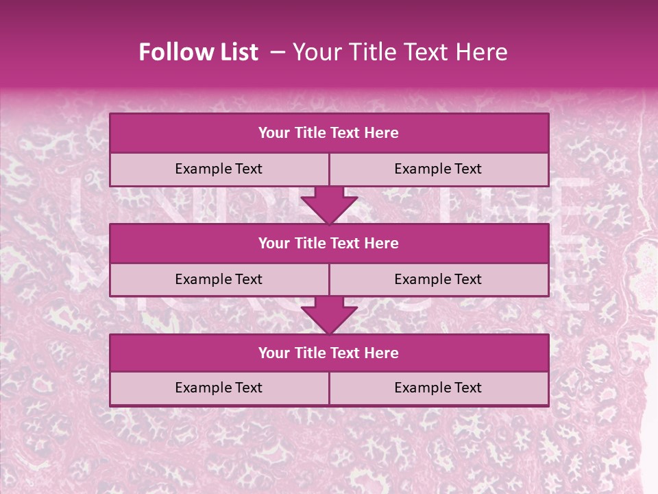Care Aging Grandmother PowerPoint Template