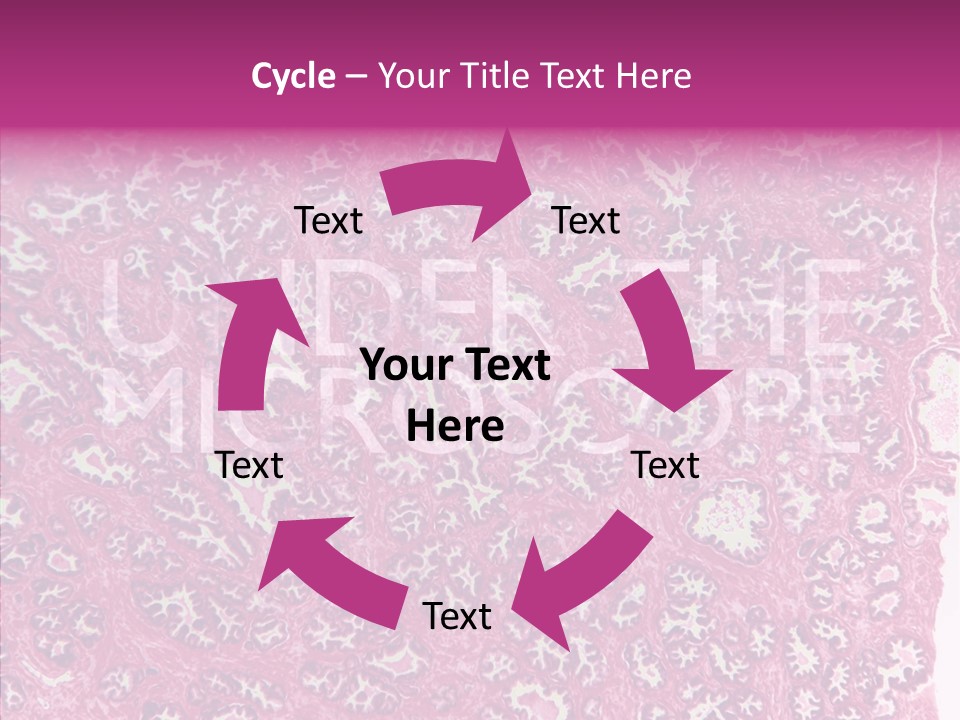 Care Aging Grandmother PowerPoint Template