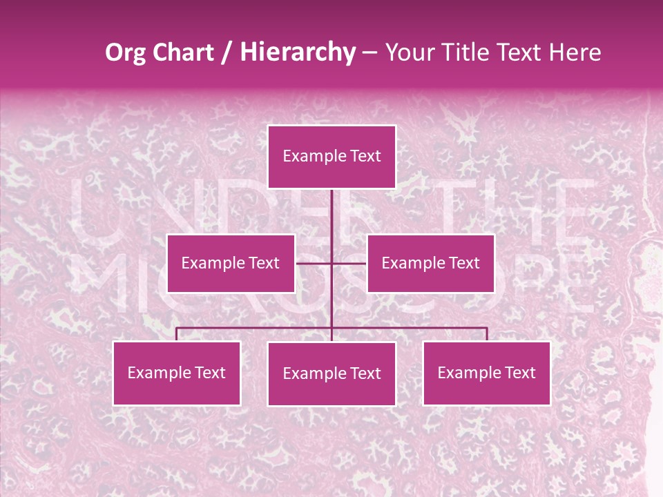 Care Aging Grandmother PowerPoint Template