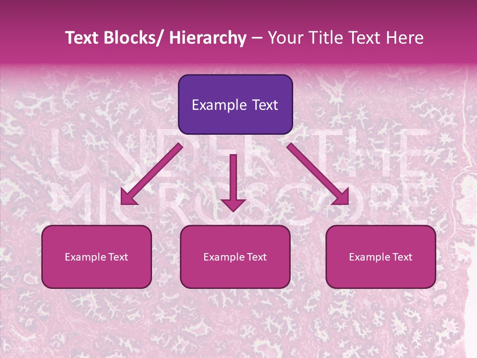 Care Aging Grandmother PowerPoint Template