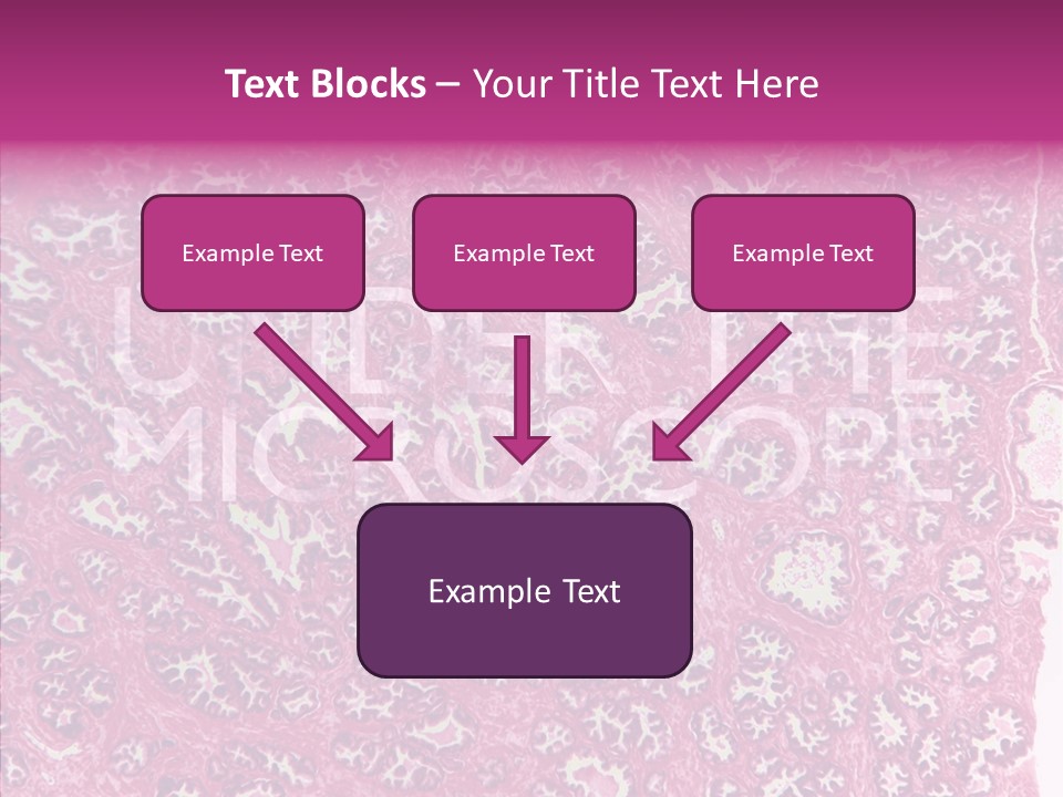 Care Aging Grandmother PowerPoint Template