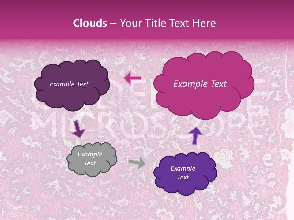 Care Aging Grandmother PowerPoint Template