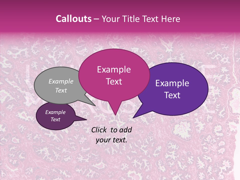 Care Aging Grandmother PowerPoint Template