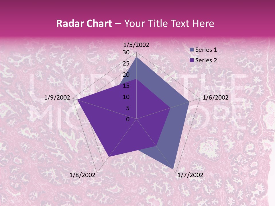 Care Aging Grandmother PowerPoint Template