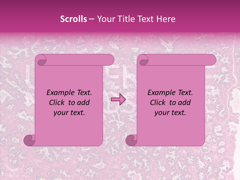 Care Aging Grandmother PowerPoint Template
