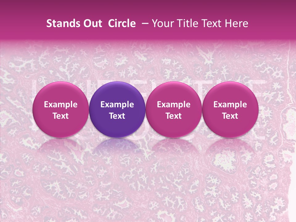 Care Aging Grandmother PowerPoint Template