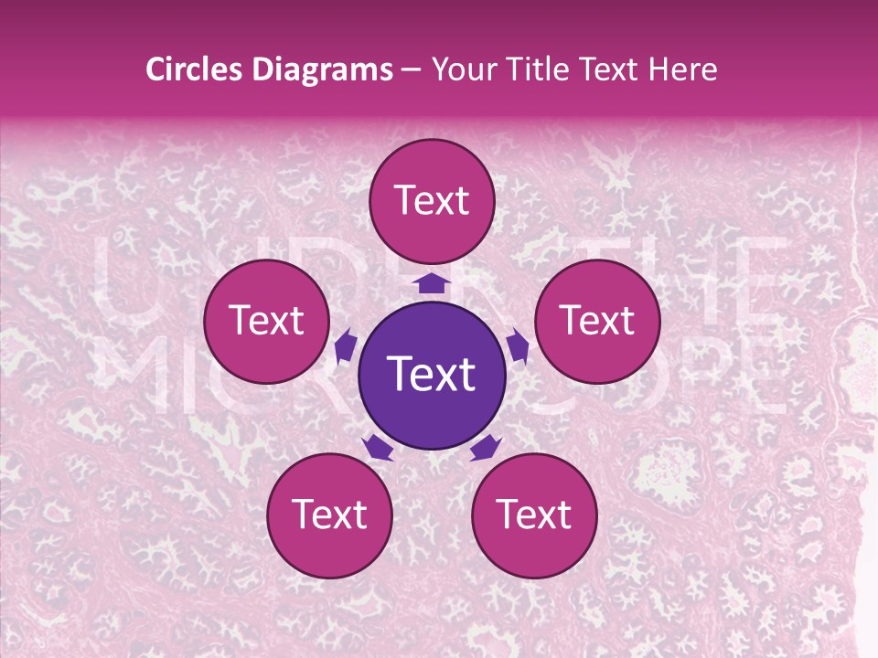 Care Aging Grandmother PowerPoint Template