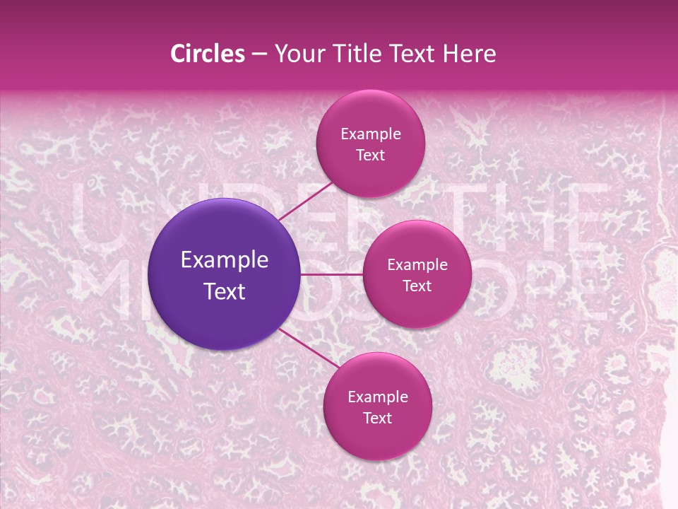 Care Aging Grandmother PowerPoint Template