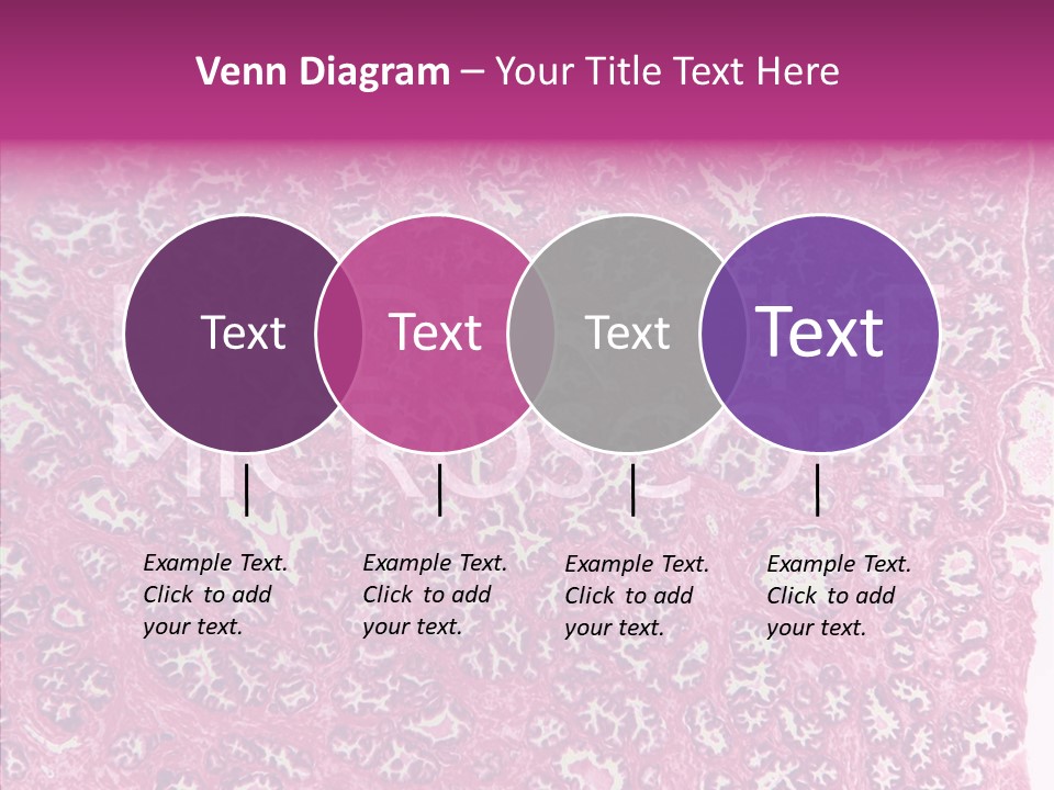 Care Aging Grandmother PowerPoint Template