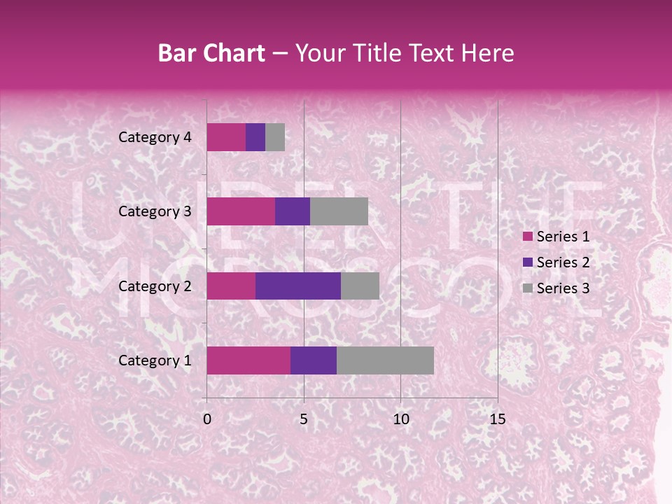 Care Aging Grandmother PowerPoint Template