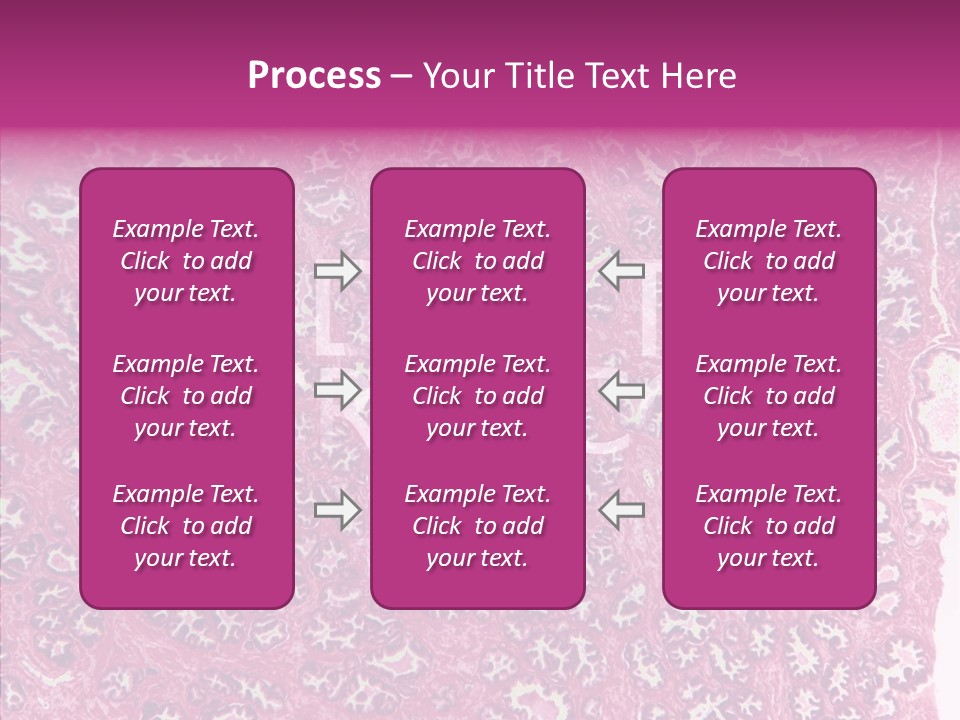 Care Aging Grandmother PowerPoint Template