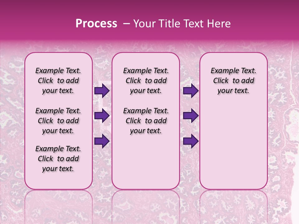 Care Aging Grandmother PowerPoint Template