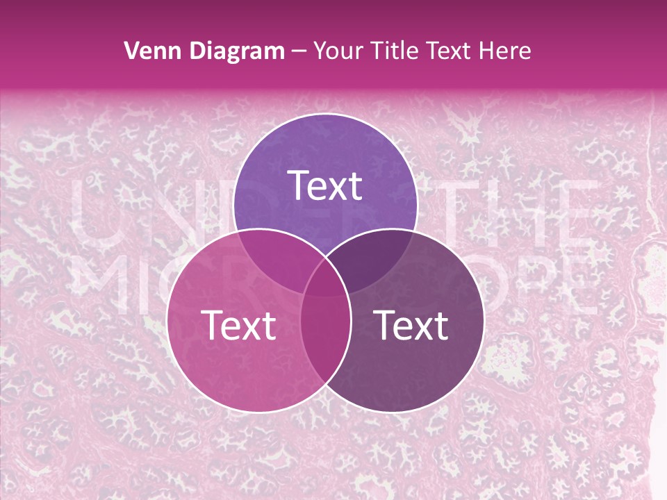 Care Aging Grandmother PowerPoint Template