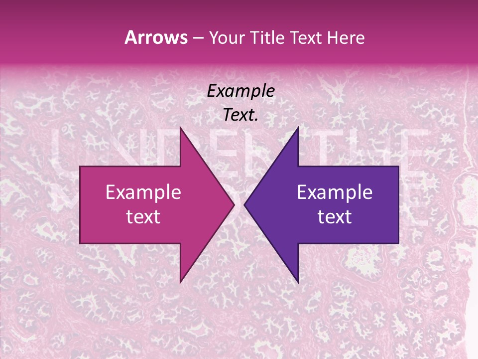 Care Aging Grandmother PowerPoint Template