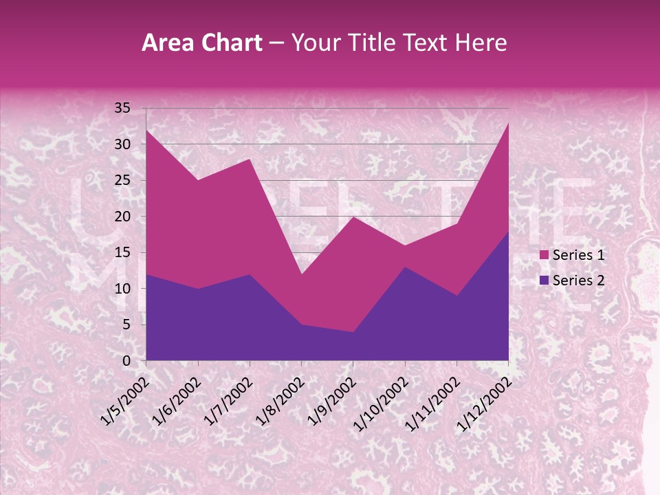Care Aging Grandmother PowerPoint Template