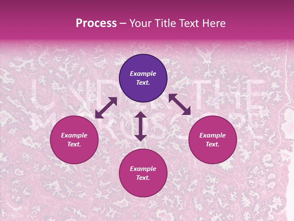 Care Aging Grandmother PowerPoint Template