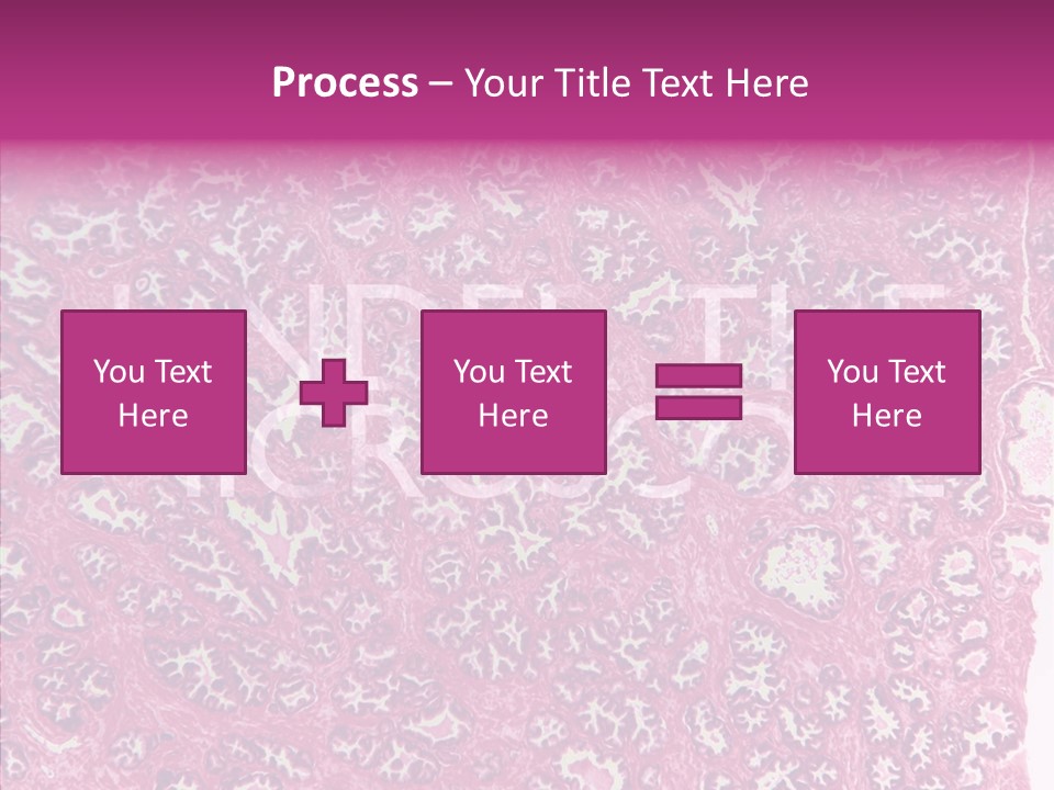 Care Aging Grandmother PowerPoint Template