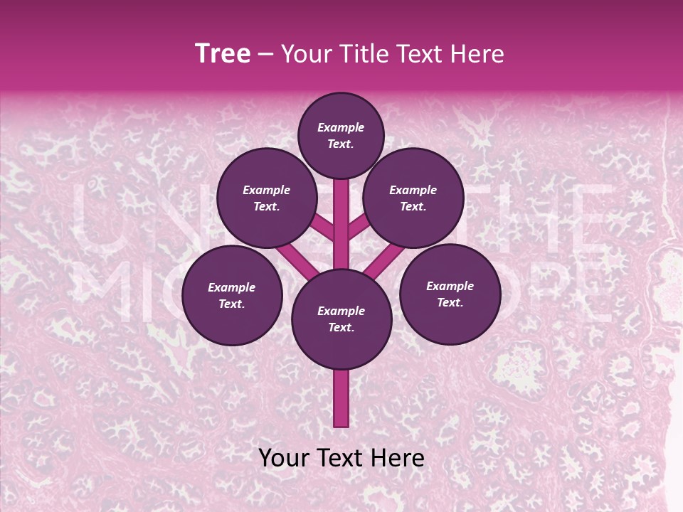 Care Aging Grandmother PowerPoint Template