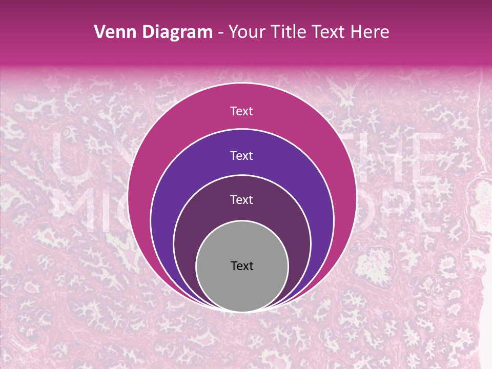 Care Aging Grandmother PowerPoint Template