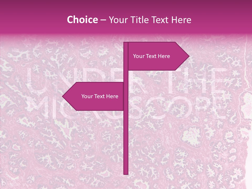 Care Aging Grandmother PowerPoint Template