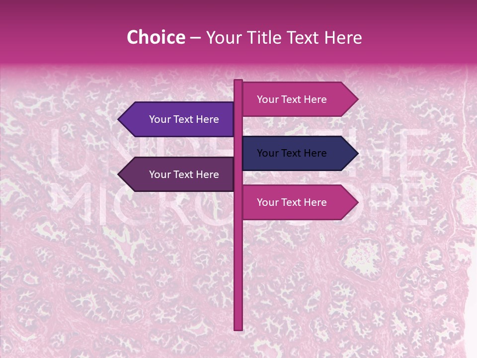 Care Aging Grandmother PowerPoint Template