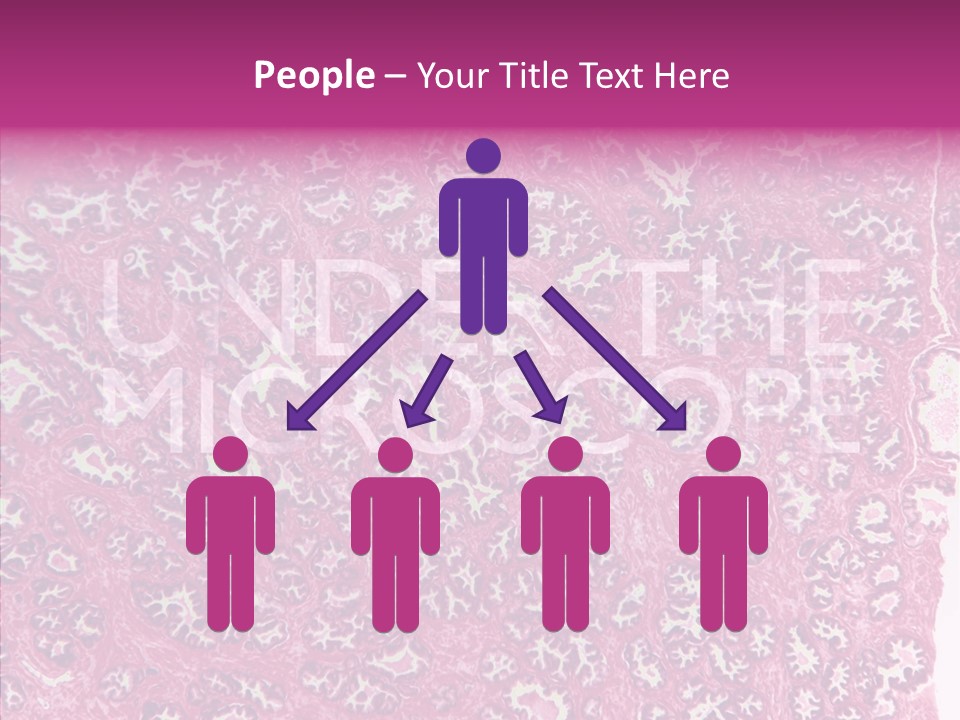 Care Aging Grandmother PowerPoint Template