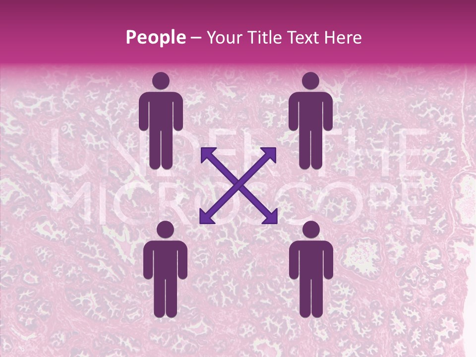 Care Aging Grandmother PowerPoint Template