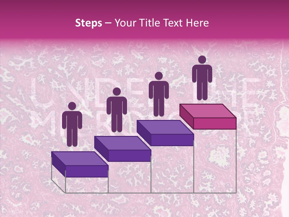 Care Aging Grandmother PowerPoint Template