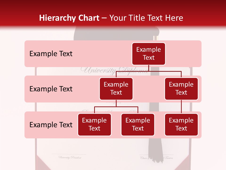 Female Aging Assist PowerPoint Template