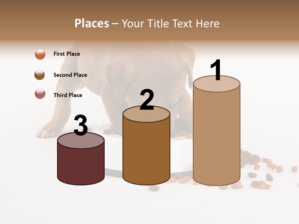 Togetherness White Background Women PowerPoint Template