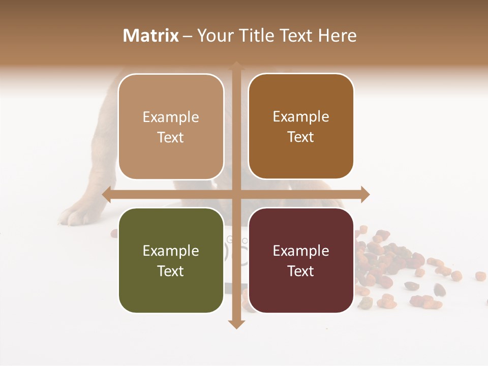 Togetherness White Background Women PowerPoint Template