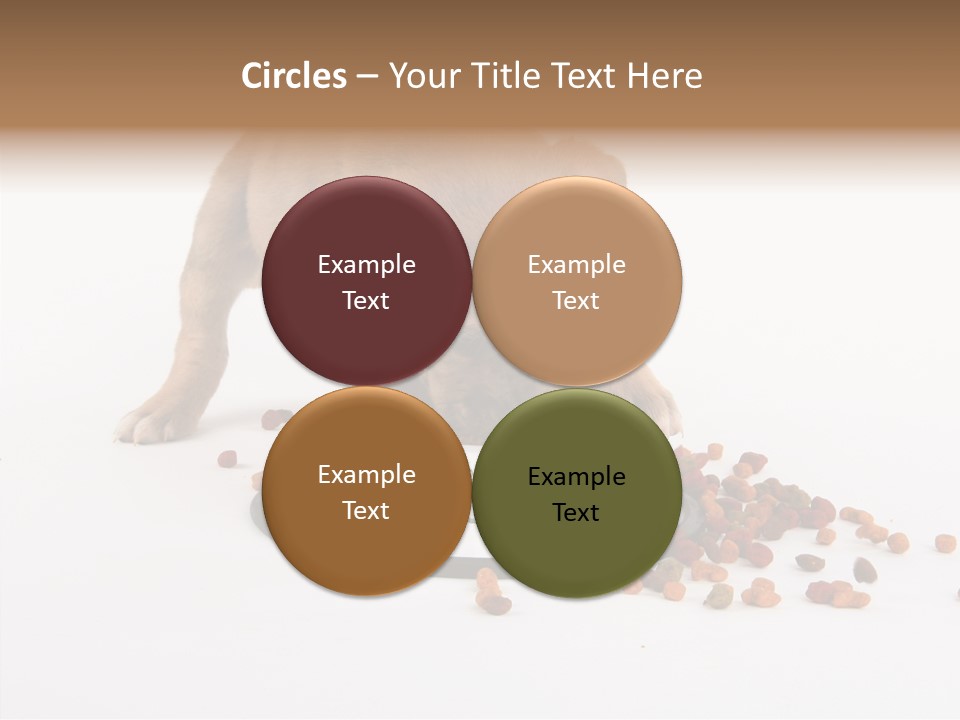 Togetherness White Background Women PowerPoint Template