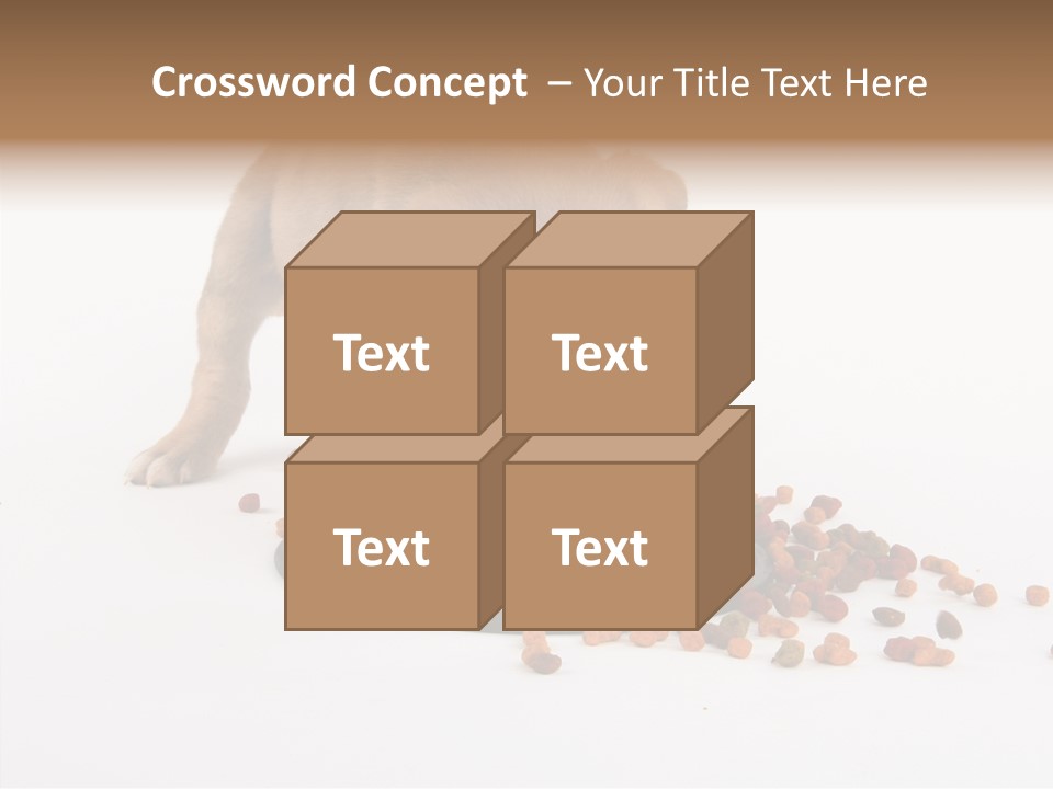 Togetherness White Background Women PowerPoint Template