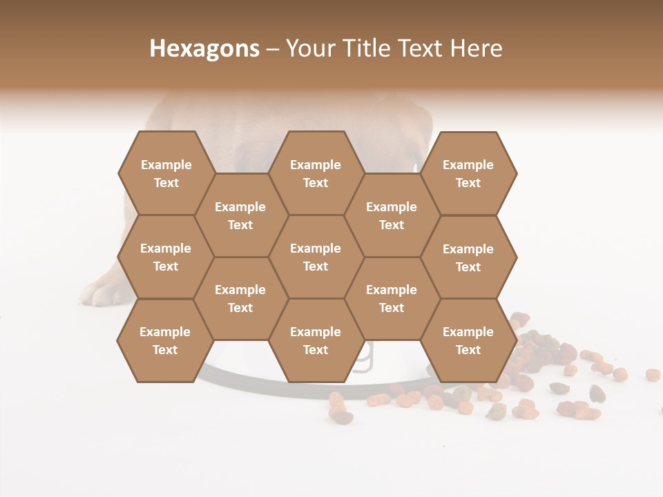 Togetherness White Background Women PowerPoint Template