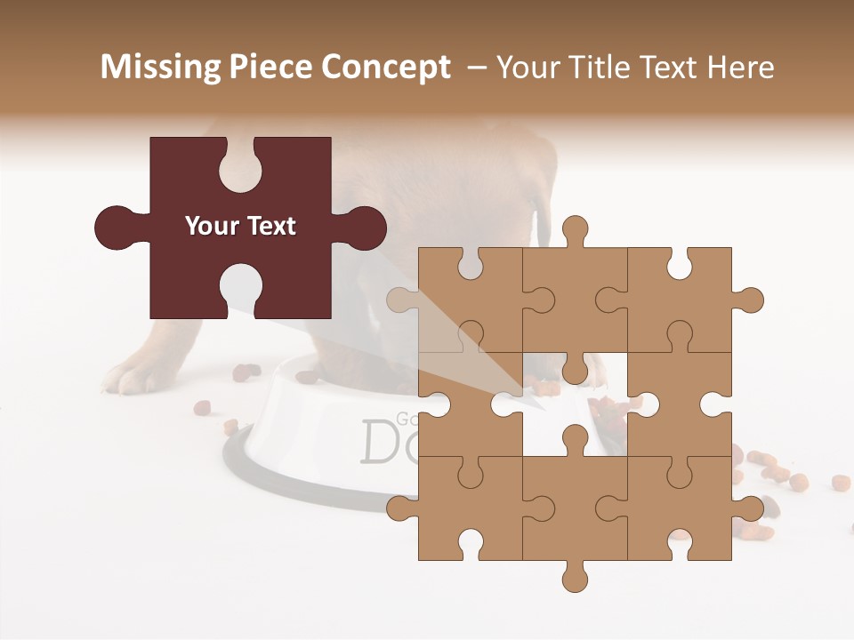 Togetherness White Background Women PowerPoint Template