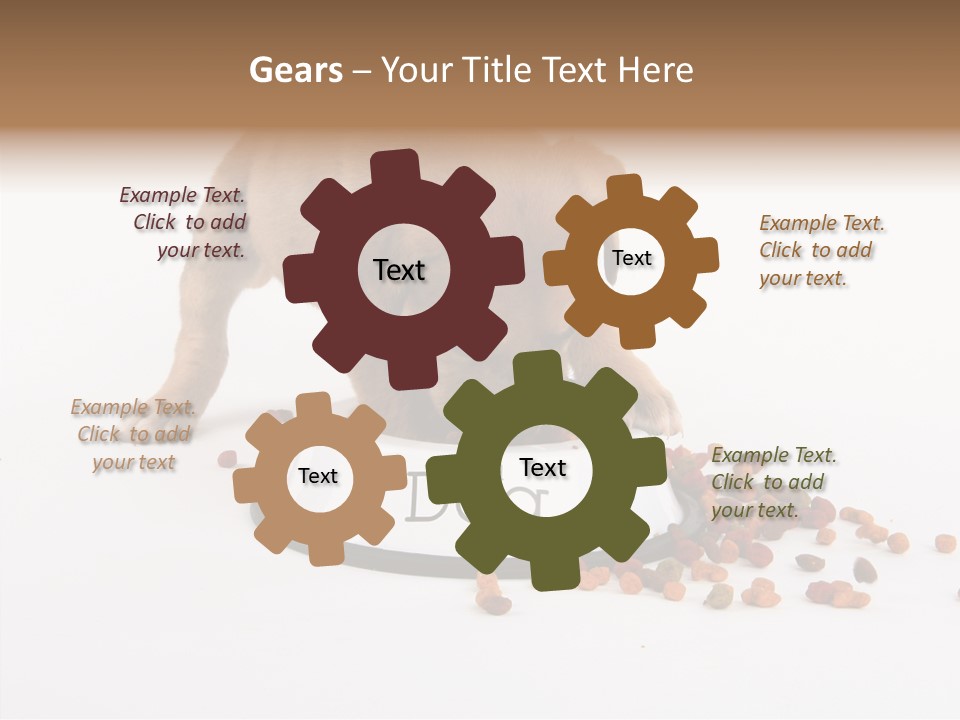 Togetherness White Background Women PowerPoint Template