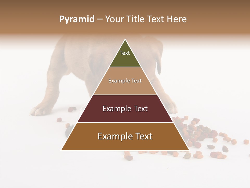 Togetherness White Background Women PowerPoint Template