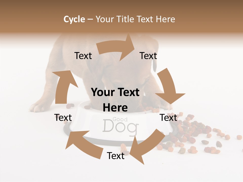 Togetherness White Background Women PowerPoint Template