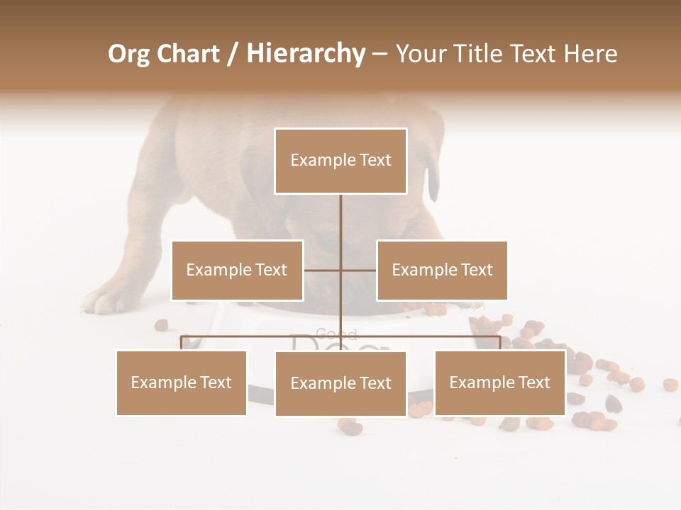 Togetherness White Background Women PowerPoint Template