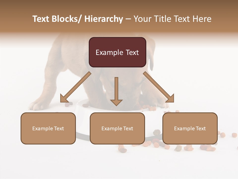 Togetherness White Background Women PowerPoint Template