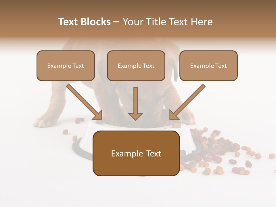 Togetherness White Background Women PowerPoint Template