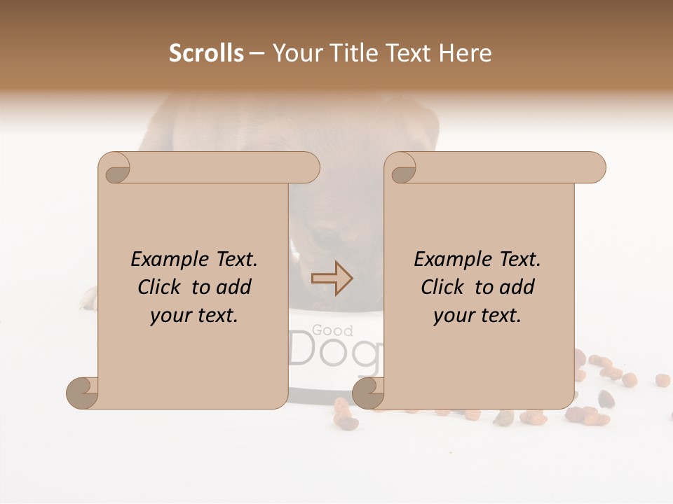 Togetherness White Background Women PowerPoint Template