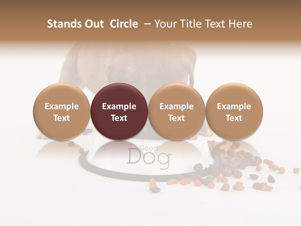 Togetherness White Background Women PowerPoint Template