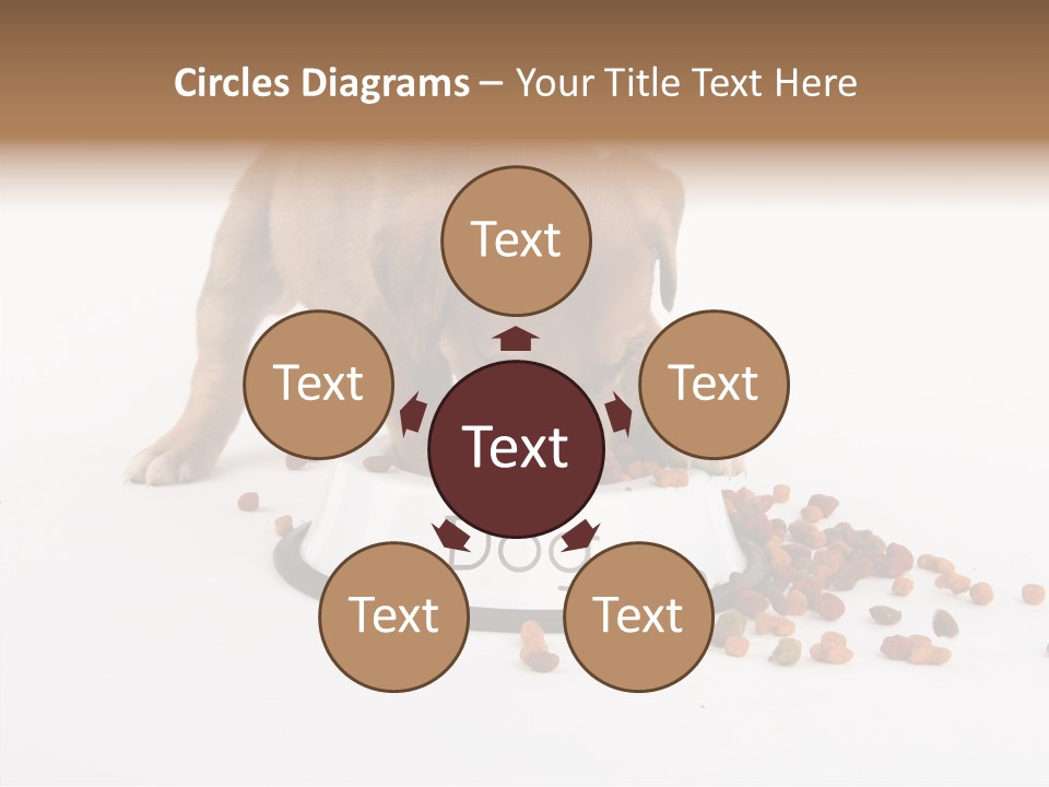 Togetherness White Background Women PowerPoint Template