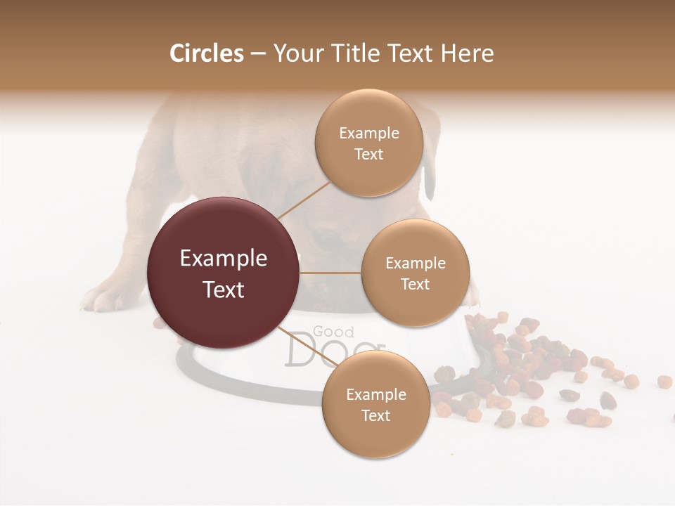 Togetherness White Background Women PowerPoint Template