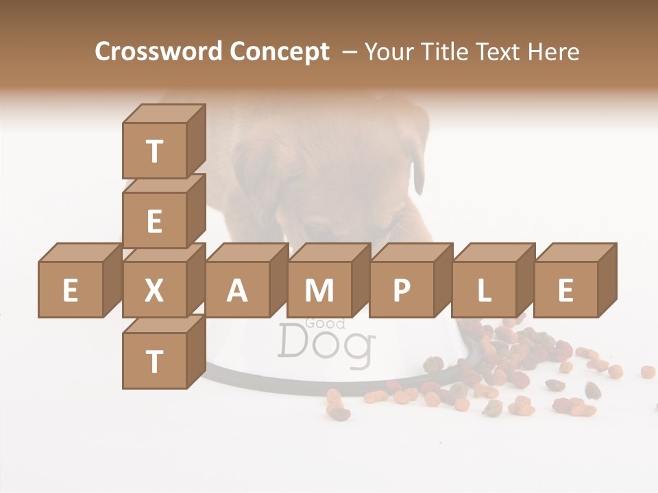 Togetherness White Background Women PowerPoint Template