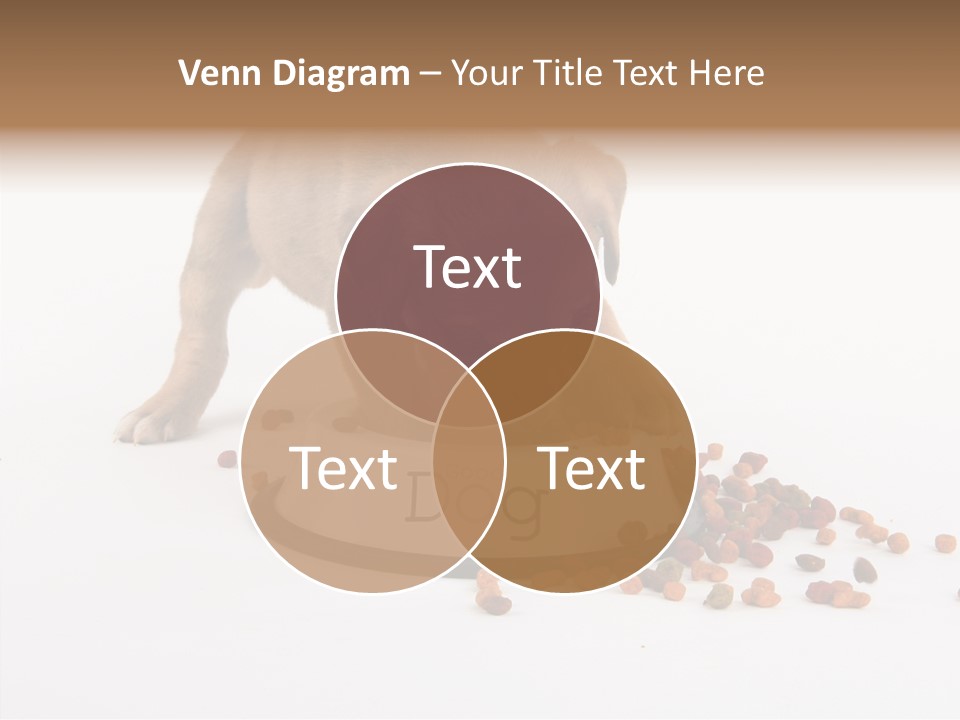 Togetherness White Background Women PowerPoint Template