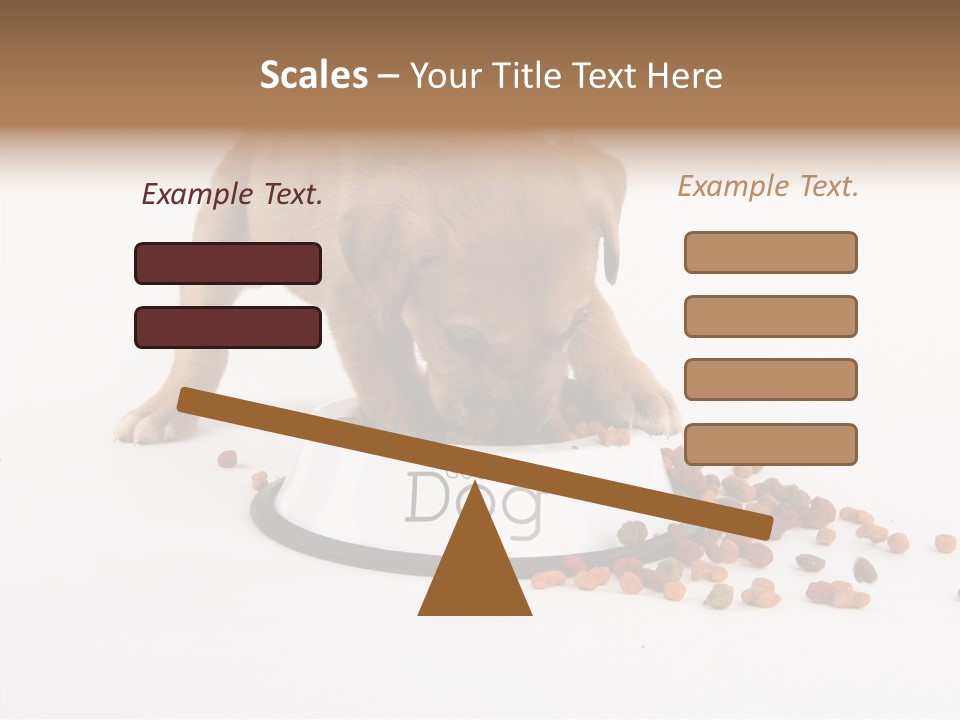 Togetherness White Background Women PowerPoint Template